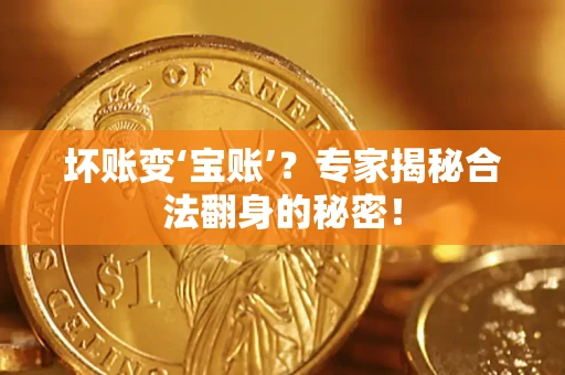 北京坏账变‘宝账’？专家揭秘合法翻身的秘密！