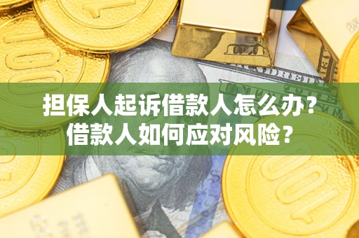 北京担保人起诉借款人怎么办？借款人如何应对风险？