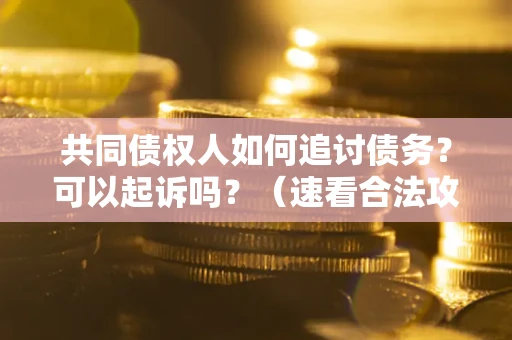 北京共同债权人如何追讨债务？可以起诉吗？（速看合法攻略）